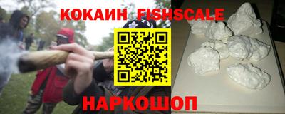 стафф Кингисепп