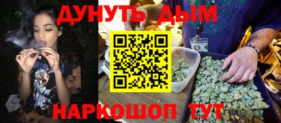 стафф Кингисепп