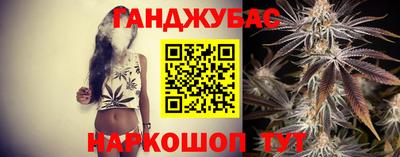 стафф Кингисепп