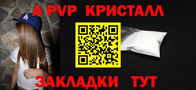 стафф Кингисепп