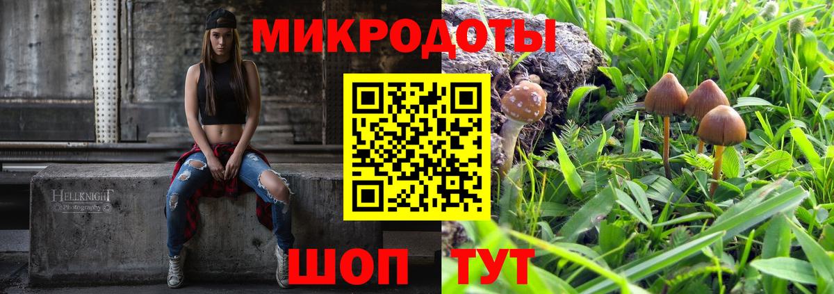 Шелехов  даркнет сайт  Псилоцибиновые грибы прущие грибы  Вход с VPN  Псилоцибиновые грибы MAGIC MUSHROOMS 